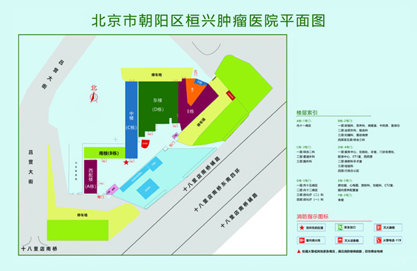 肉逼逼网北京市朝阳区桓兴肿瘤医院平面图